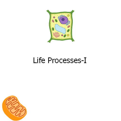 Life Processes-I